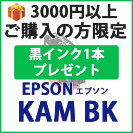 [プレゼント] 1本黒インクプレゼント　3000円以上ご購入の方限定　KAM-BK-L